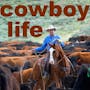 "Cowboy Life" Podcast Featuring Tim Cox