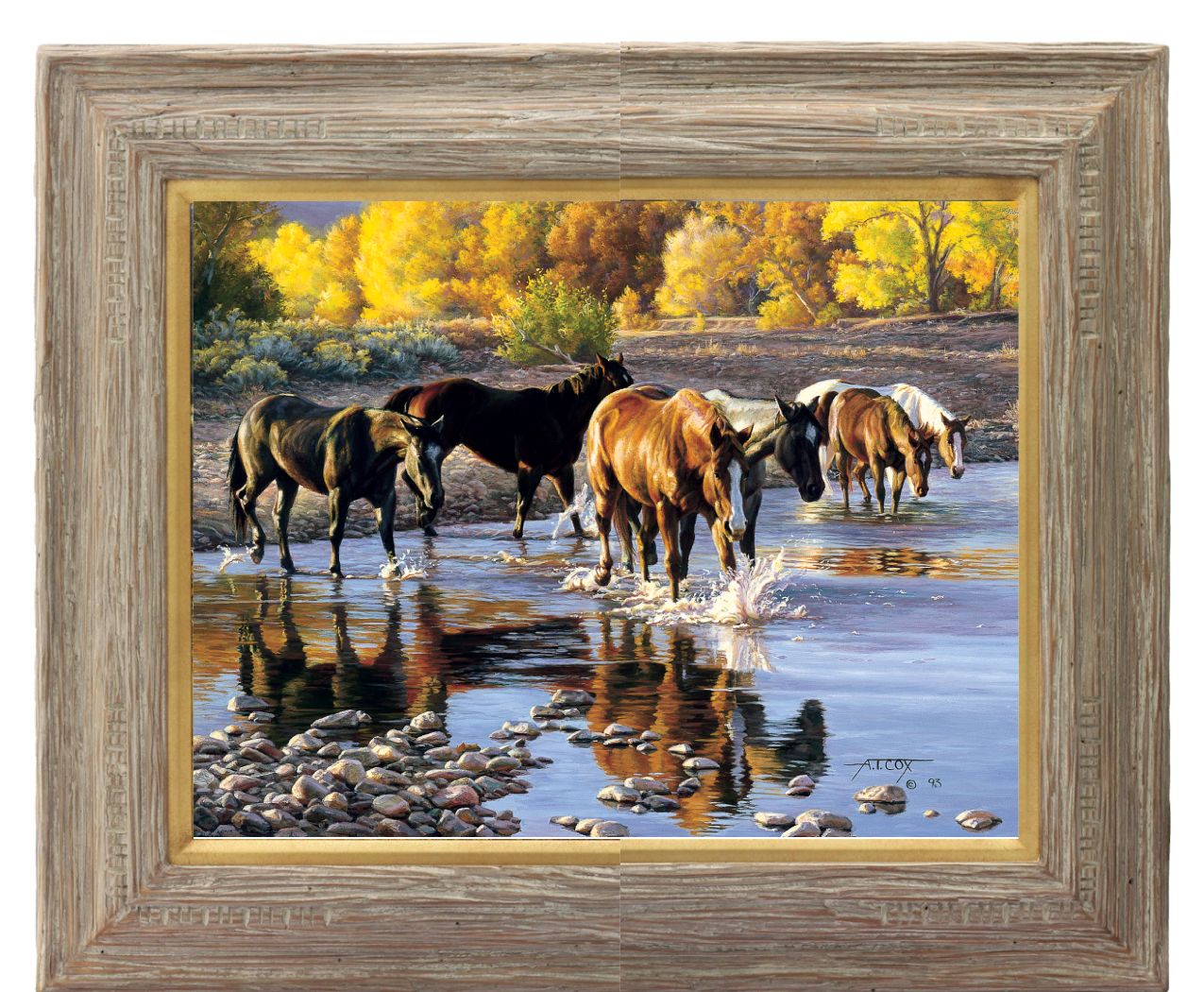 Coming In At Sundown