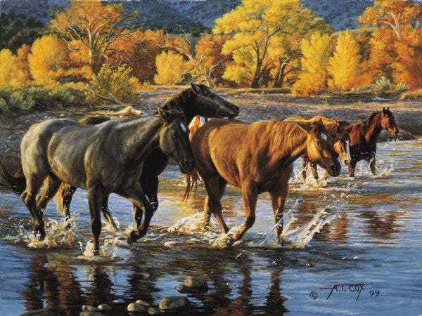 Horses Of The Creek