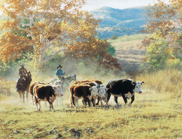 Off The Mountain In October