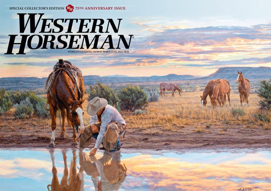 CONCEPT TO COMPLETION "Reflections of a Passing Day" By Jennifer Denison-Western Horseman January 2011