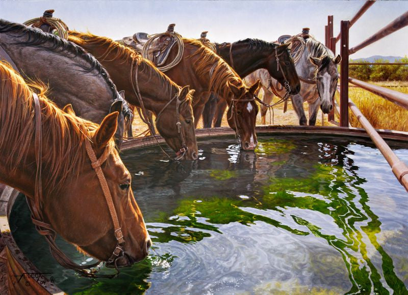 A Well Earned Drink painting by Tim Cox of horses at water tank drinking