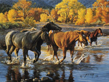Load image into Gallery viewer, HORSES OF THE CREEK
