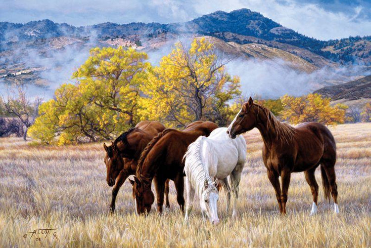 Tim Cox Fine Art | Western Paintings | Cowboy Horse Paintings